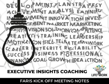 FS Executuve Insights Briefing and Introductory Templates Flipbook