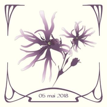 Amandine & Quitterie se marient