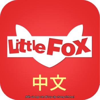 Little Fox CN