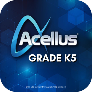 29. Acellus K5