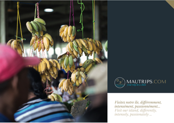 Presentation de mautrips.com