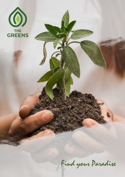 2-Code Name - The Greens