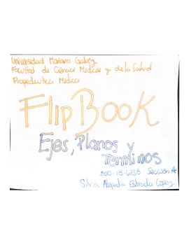 FlipBook 2020