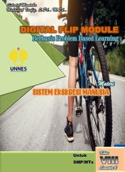 Digital Flip Module