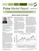 November 2013 Pulse Market Report 