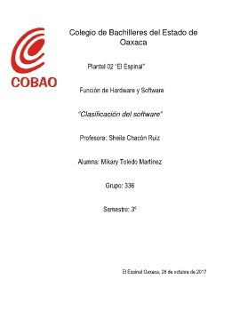 Clasificacion del software 