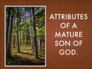 Attributes of a Son of God