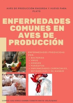 Principales enfermedades comunes en aves_Neat