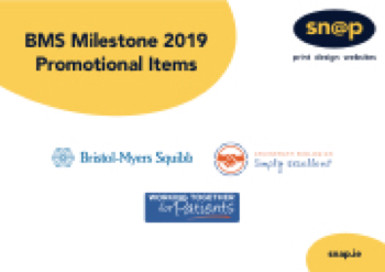 BMS Key Promo MILESTONE Products A5 Booklet