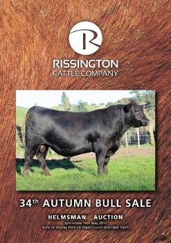 AUTUMN BULL SALE EBOOK