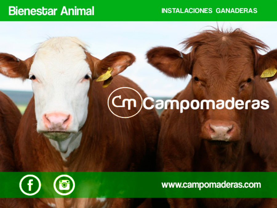 catalogo