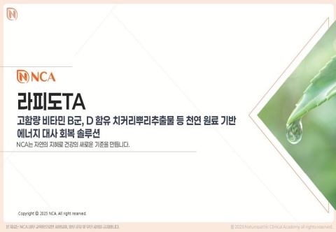 라피도TA