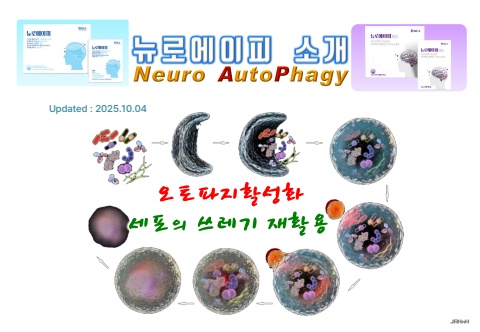 뉴로에이피 소개