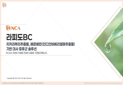 라피도 BC