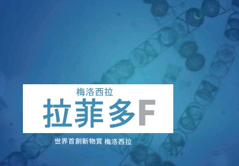 RAPIDO-F (中國語)