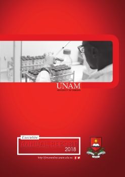 UNAM Executive Annual Report 2018