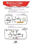 Bioquímica Celular