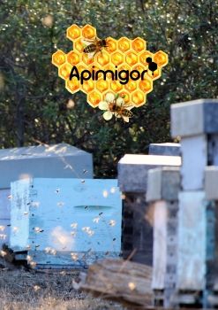 CATALOGO APIMIGOR -  INGLES
