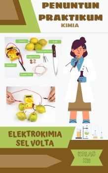 E-PENUNTUN PRAKTIKUM SEL VOLTA