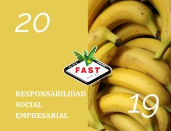 MEMORIA SAT-FAST 2019