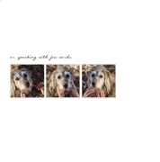 Coco is A Dog Who
Coco is A Dog WhoCoco is A Dog Who
Coco is A Dog Who
Coco is A Dog Whp