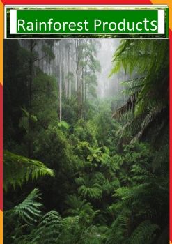 C:\Users\91727\Desktop\Forest Products\