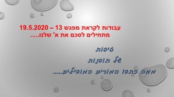 עבודות לקראת מפגש 13 – 19.5.2020 מתחילים לסכם את א' שלנו.....