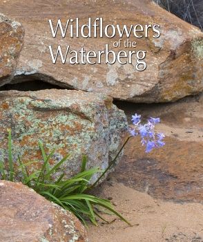 Wildflowers of the Waterberg