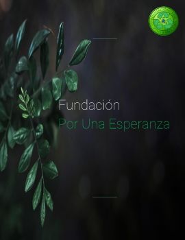 Fundación Por Una Esperanza