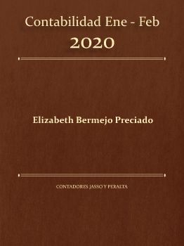 Contabilidad Ene - Feb 2020 Liza