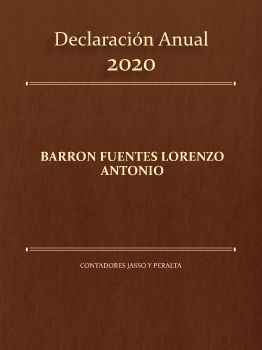 Anual 2020 Barron L