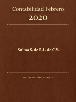 Contabilidad Feb20 Sulma