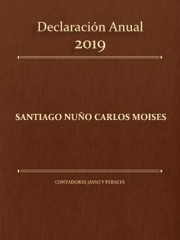 Declaración Anual 19 Carlos S