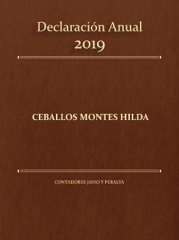 Declaración Anual Hilda Ceballos