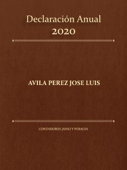 Anual 2020 Avila JL