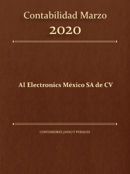 Contabilidad Mzo AI Electronics
