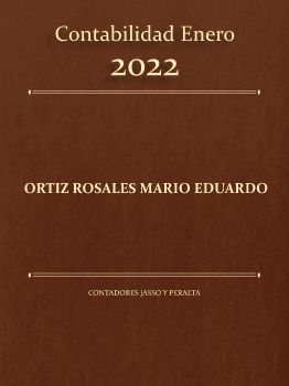 Contabilidad Ene 22 Mario