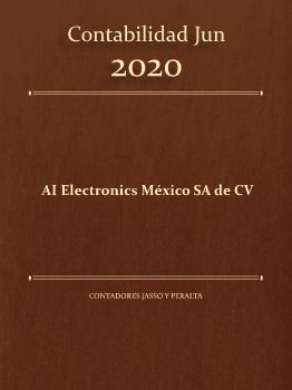 Contabilidad Jun AI Electronics