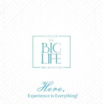 The Big Life Brochure