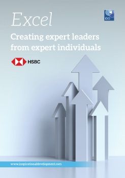 IDG HSBC Excel e-Flyer