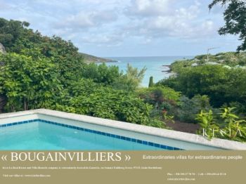 Bougainvilliers
