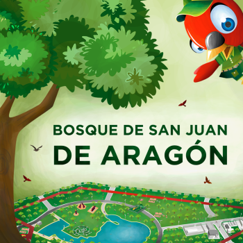 Ebook_BSJA