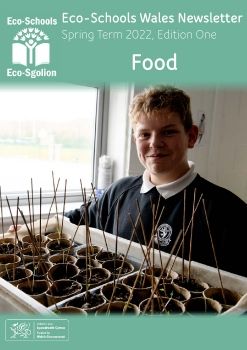 Eco-Schools Wales Newsletter, Spring 1 2023 - english