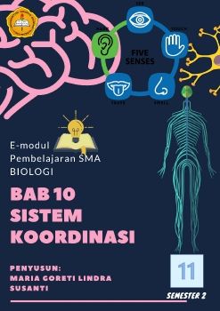 SISTEM KOORDINASI KELAS XI Semester 2