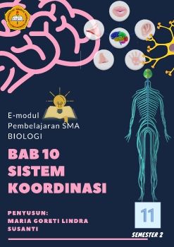 SISTEM KOORDINASI KELAS XI Semester 2