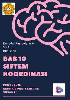 Sistem Koordinasi KELAS XI_Neat