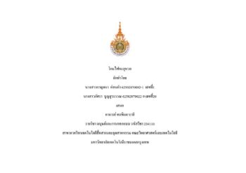 โคมไฟทะลุหวด