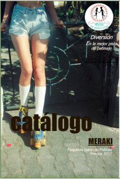Catálogo Meraki