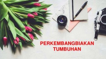PERKEMBANGBIAKAN TUMBUHAN_Neat