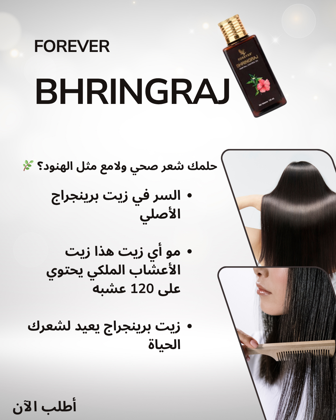 my project 2025-11-06010343